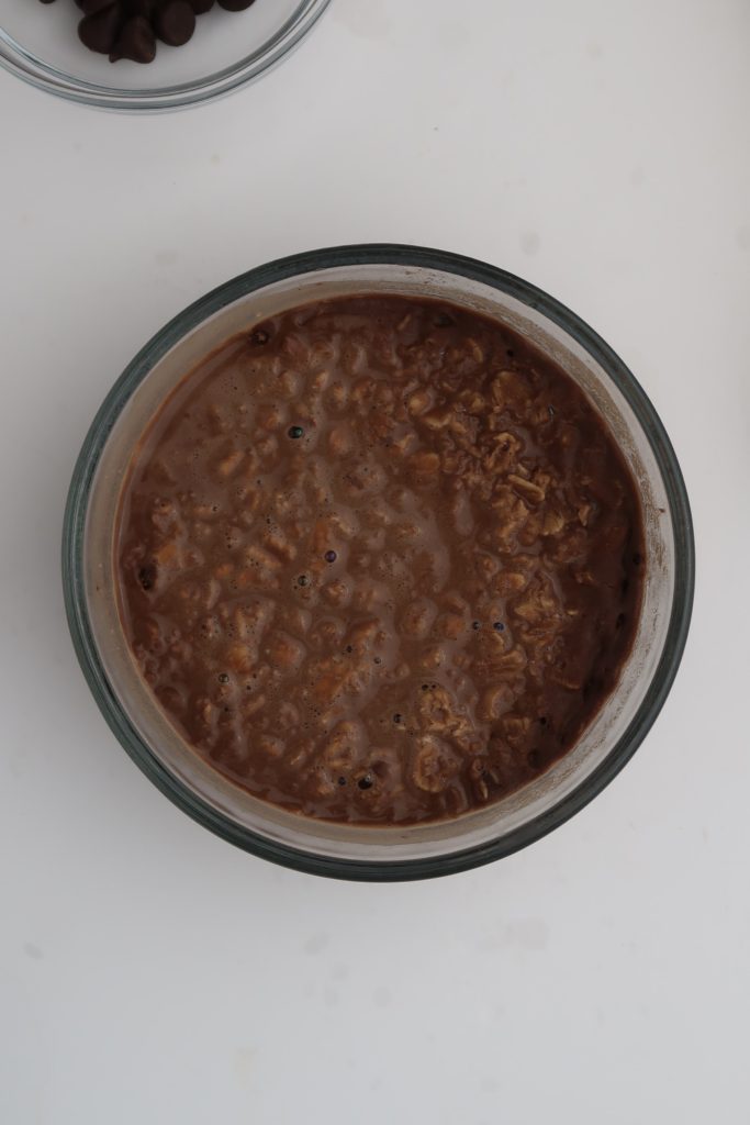 chocolate peanut butter oatmeal vegan recipe