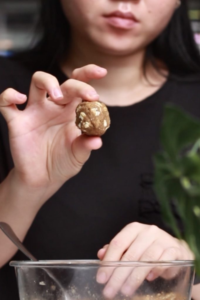 showing oat gingerbread balls